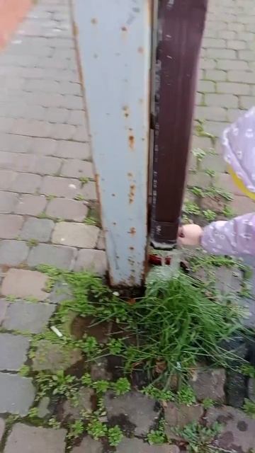 когда снега нет в декабре, но есть сосульки