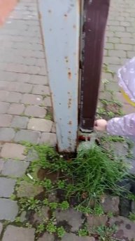 когда снега нет в декабре, но есть сосульки