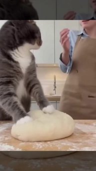 Иди делами уже займись😠