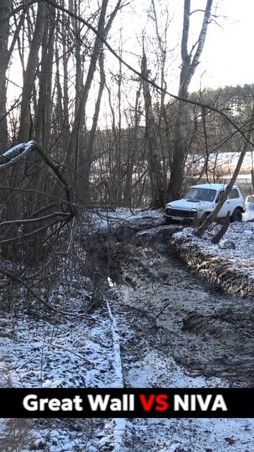 Есть догадки, почему так вышло? Great Wall Hover и Лада Нива на бездорожье. #нива #ховер
