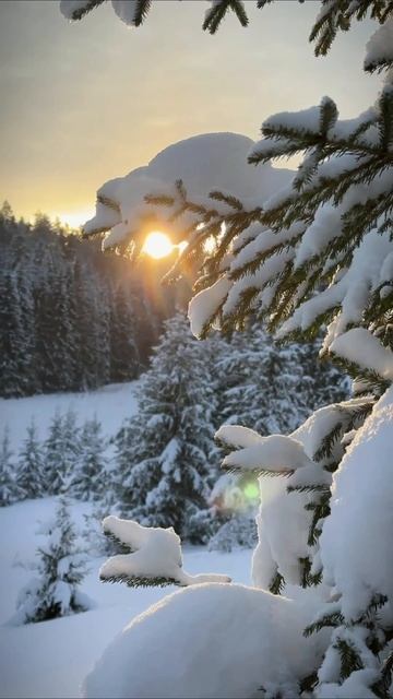 СЕЛО КАМГОРТ В ЧЕРДЫНСКОМ РАЙОНЕ ПЕРМСКОГО КРАЯ