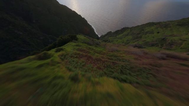 Это Мадейра - симатик видео