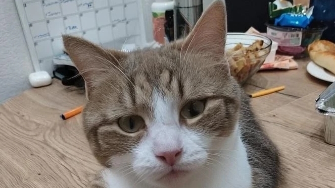 Видео как я решил зависти канал