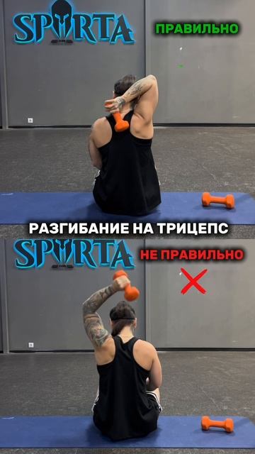 Качаем трицепс правильно