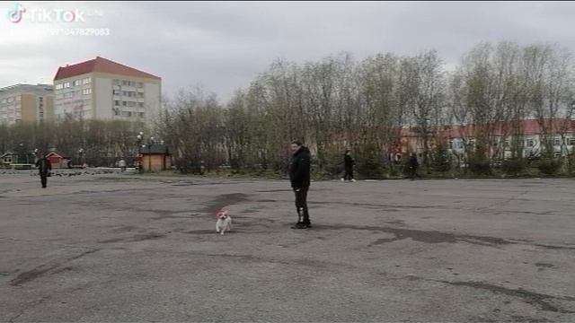 VID_20251214_154713.mp4 Елена Дружиненко Воркута