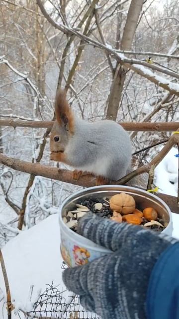 Не понравился орех 😁😁😁