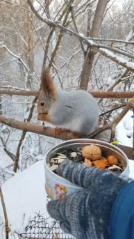 Не понравился орех 😁😁😁