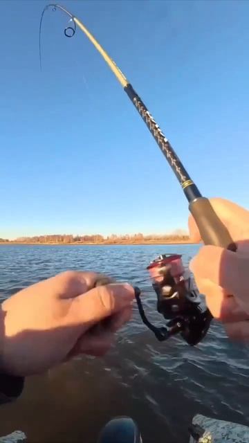 Видео от За Трофеем: Охота и Рыбалка