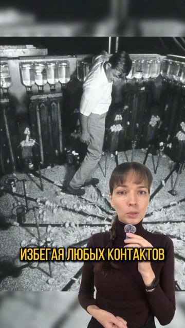 Смысл и Эксперимент "Вселенная-25"