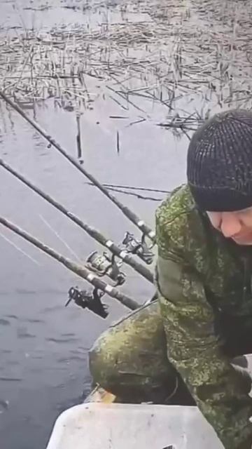 Про рыбалку