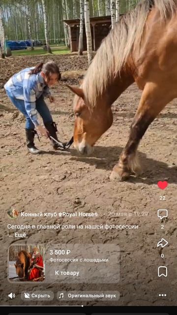 За кадром фотосессий. Оптимус