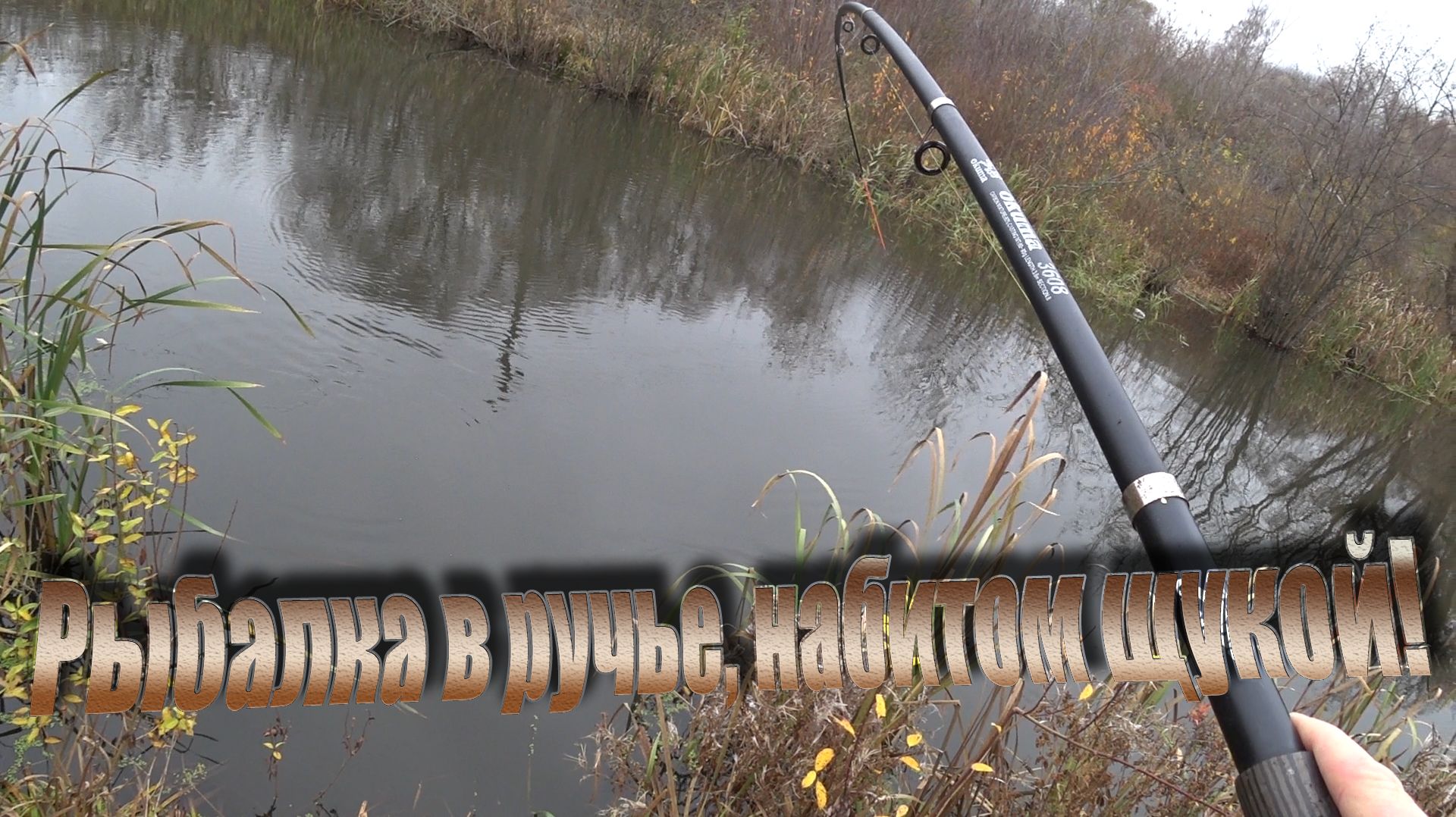 Отличный клёв щуки на живца, на поплавок, в небольшом ручье!Как ловить и сделать эффективную снасть!