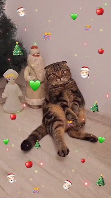 С новым годом!