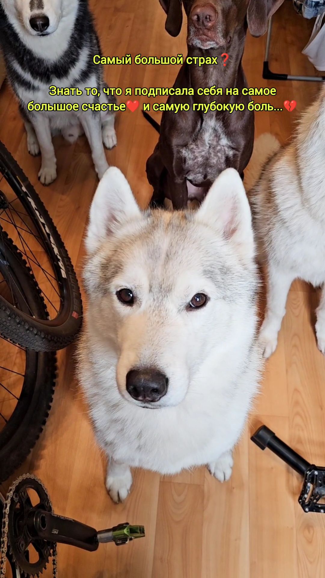 Как страшно об этом думать😖