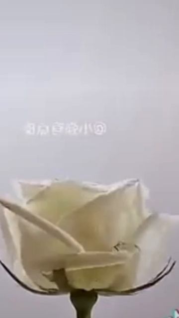 лайфхаки.mp4