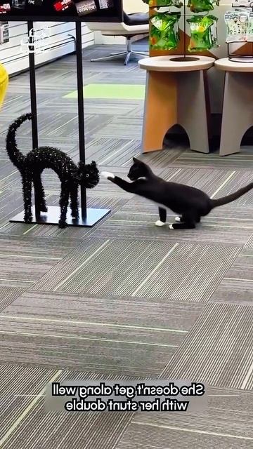 Царь то не настоящий 🤣