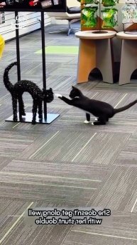 Царь то не настоящий 🤣