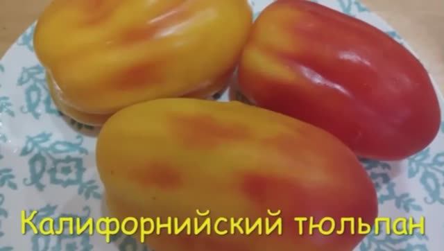 Каталог томатов на 2026 год. Часть 2. СКИДКИ на СЕМЕНА! г. Киров т. 89229284031