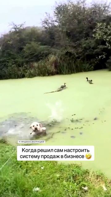 как увеличить прибыль в бизнесе с помощью нейросотрудников,забирай здесь : https://t.me/ai_resheniya