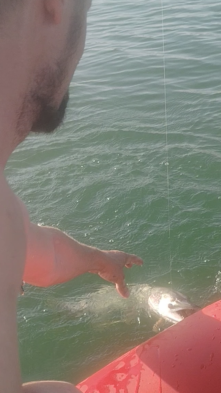 Щука на микроджиг🎣, это кайф!🚣!!!