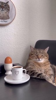 #юмор #прикол #приколы #угар #угарноевидео #ржач #ржака #смехдослез #угарноевидео #смешно #смешноеви