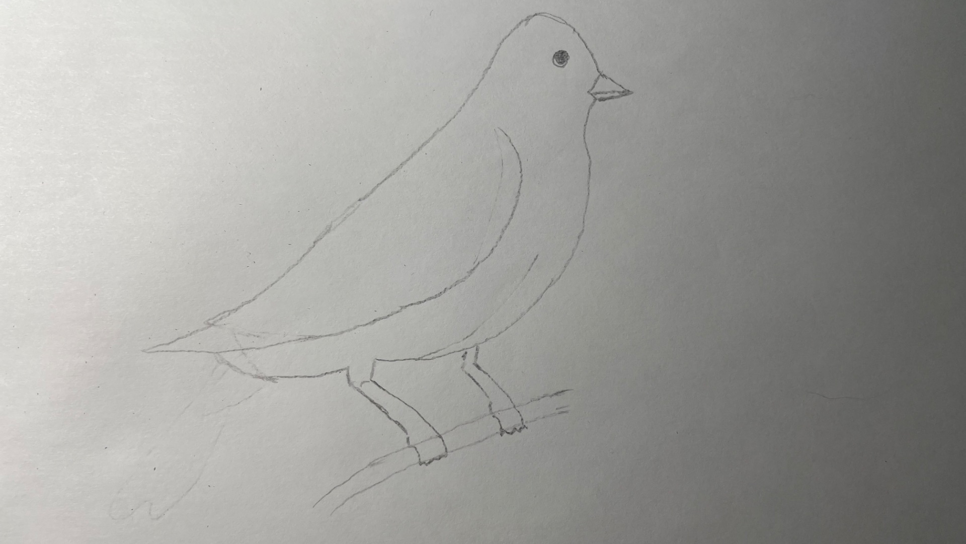 Рисую птичку простым карандашом легко и красиво