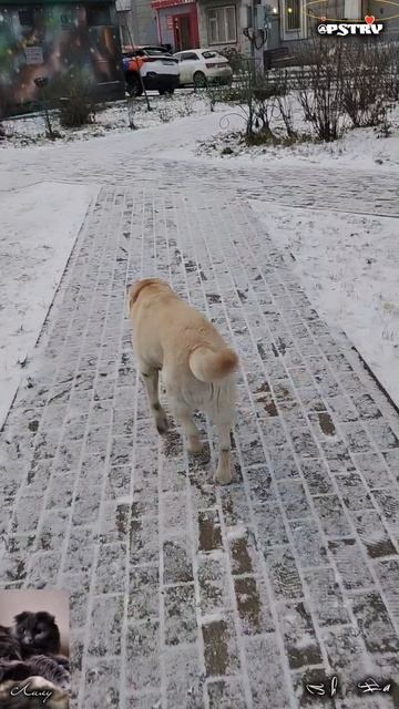 Сегодня была зима