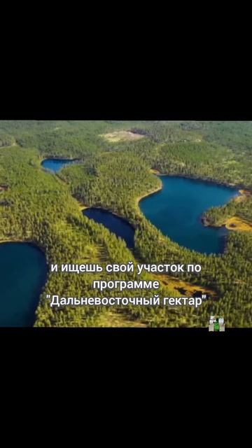 #дальневосточныйгектар #бредпитт #гектар