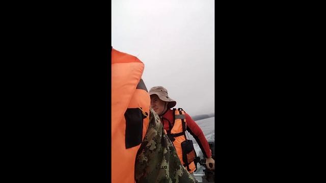 Геннадьич рулит