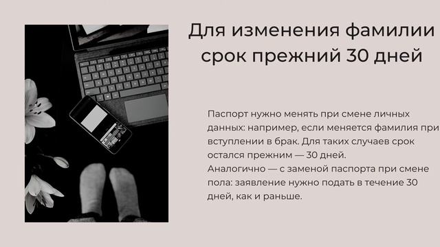 проверка паспорта