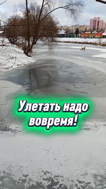 Улетать надо вовремя!☝️