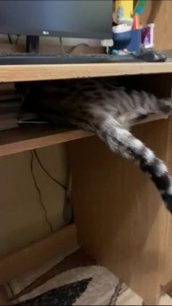 кто так строит?