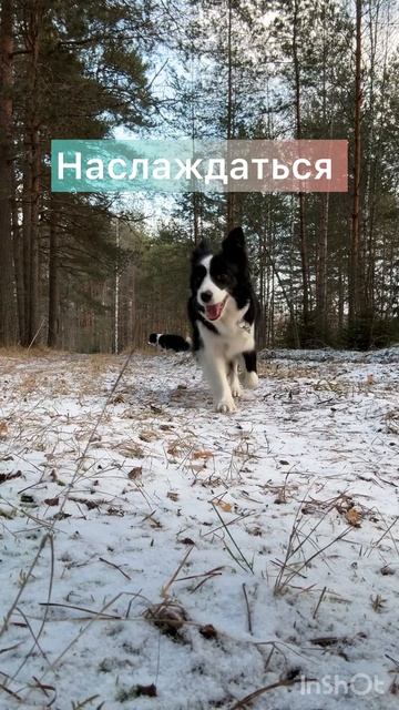 Скоро Новый год 🎄