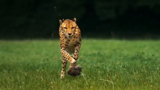 У_лА_Л:::а... л-А