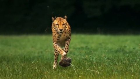 У_лА_Л:::а... л-А