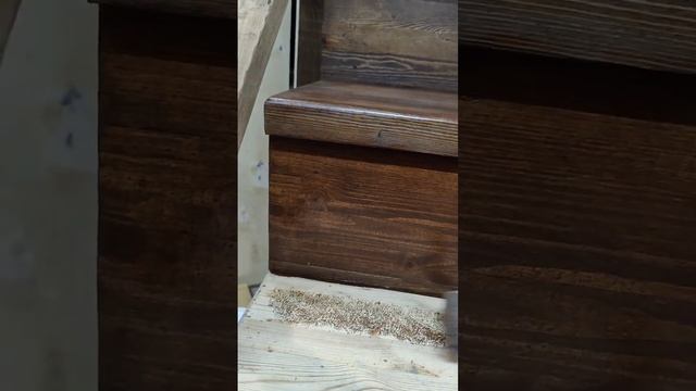 Как просто покрасить деревянную лестницу — способ для новичков. #ремонтвдоме (1)