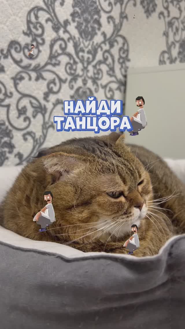 Найди шесть танцоров 😉
