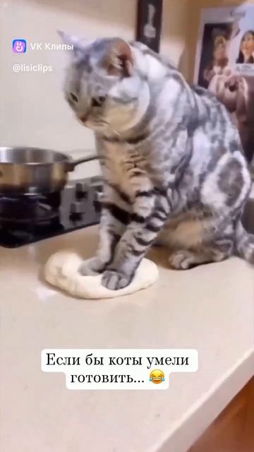 Клип @vkusnaychca