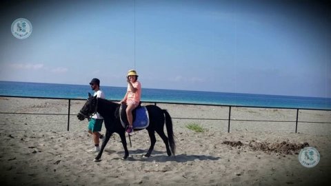 Otisium, Турция, коррекция аутизма. АЙНАРА 2022 - Эрдал Атеш, Чидем Атеш