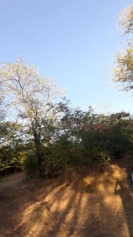 Природа#палатки#отдых#