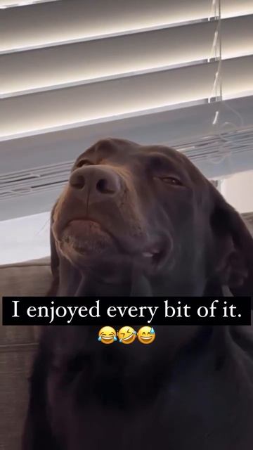 Гордость за проделанную работу