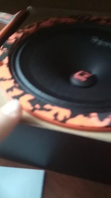 VID_20251214_095433.mp4