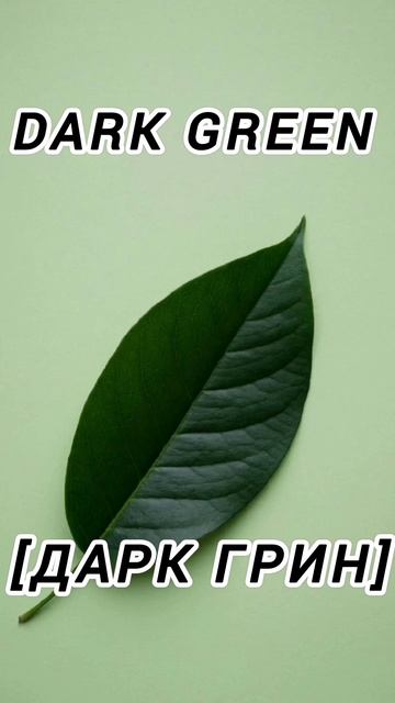 Дом Роуз. Изучение английского языка.
Изучение английских слов. Цвет. 14