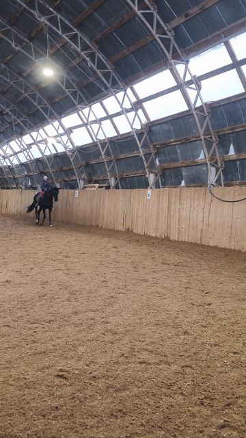 Оксана Новикова и Дольче Вита, менка в один темп по стенке, готовимся к "Большому призу".