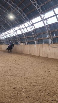 Оксана Новикова и Дольче Вита, менка в один темп по стенке, готовимся к "Большому призу".