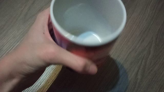 VID_20251210_172334.mp4