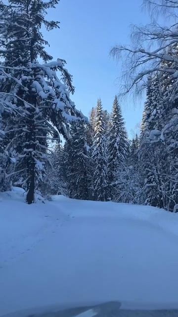 Горный Алтай АлександрАнтоненко #влог #рилс #reels #природа #горныйалтай #алтай #горный