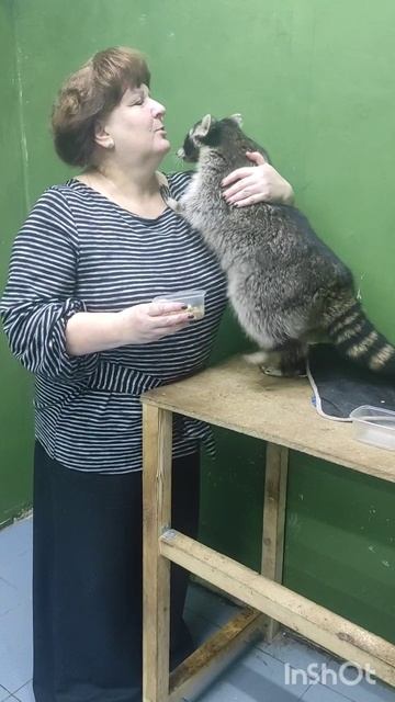 Енототерапия