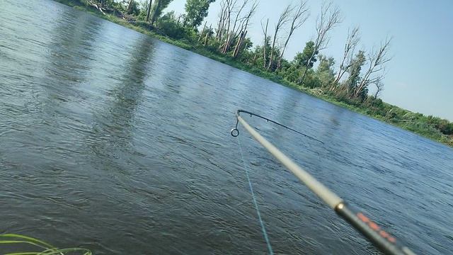 голавль на "бочонок"