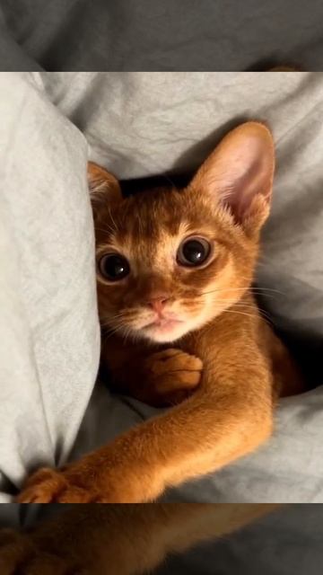 Доброе утро